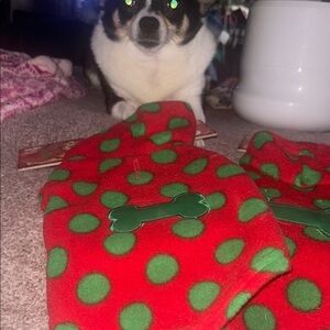 Red and Green Polka Dot Dog Sweater